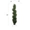 5ft Spiral Cedar Topiary Tree in Black Pot by Floral Home®